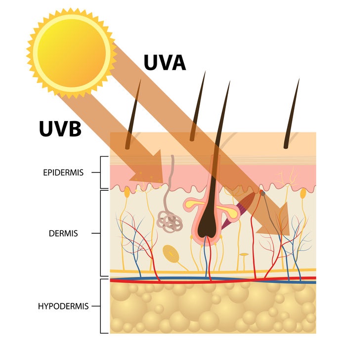 UVA Rays and Sunscreen connection