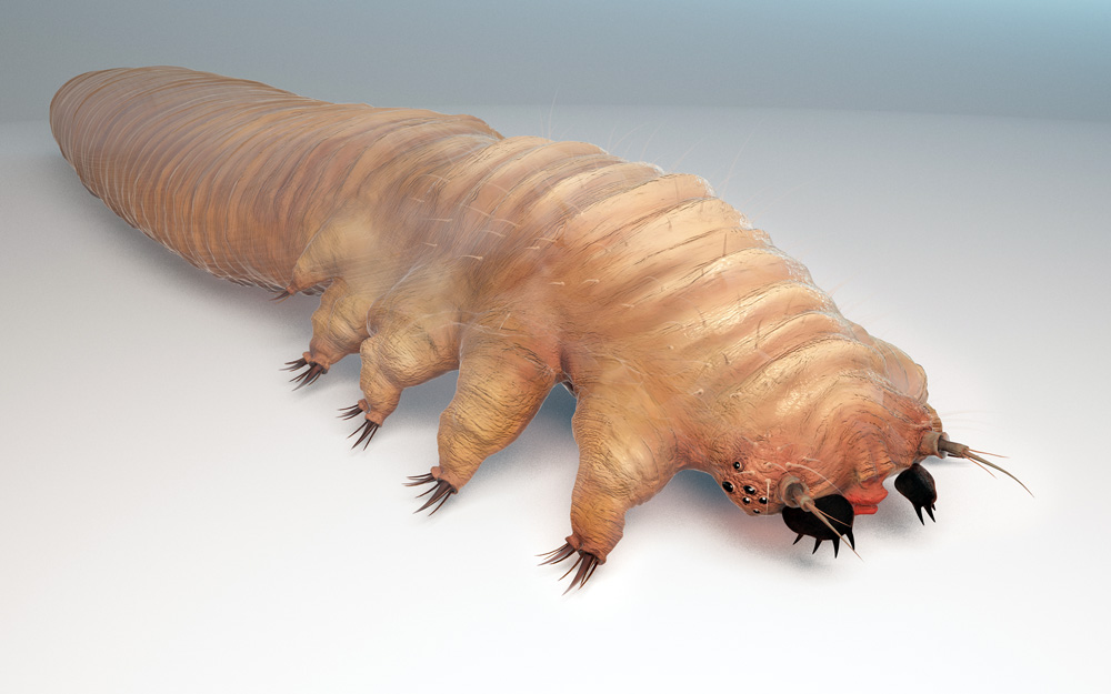 Rosacea - demodex mites